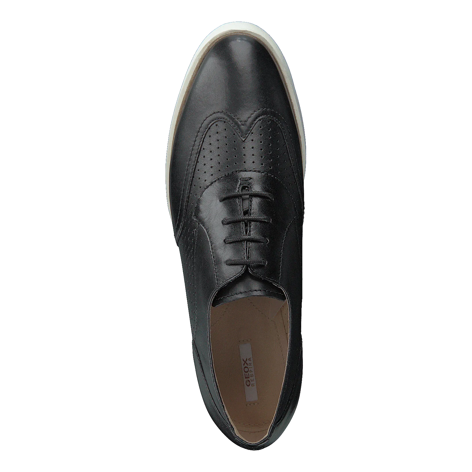 D Kattilou Black