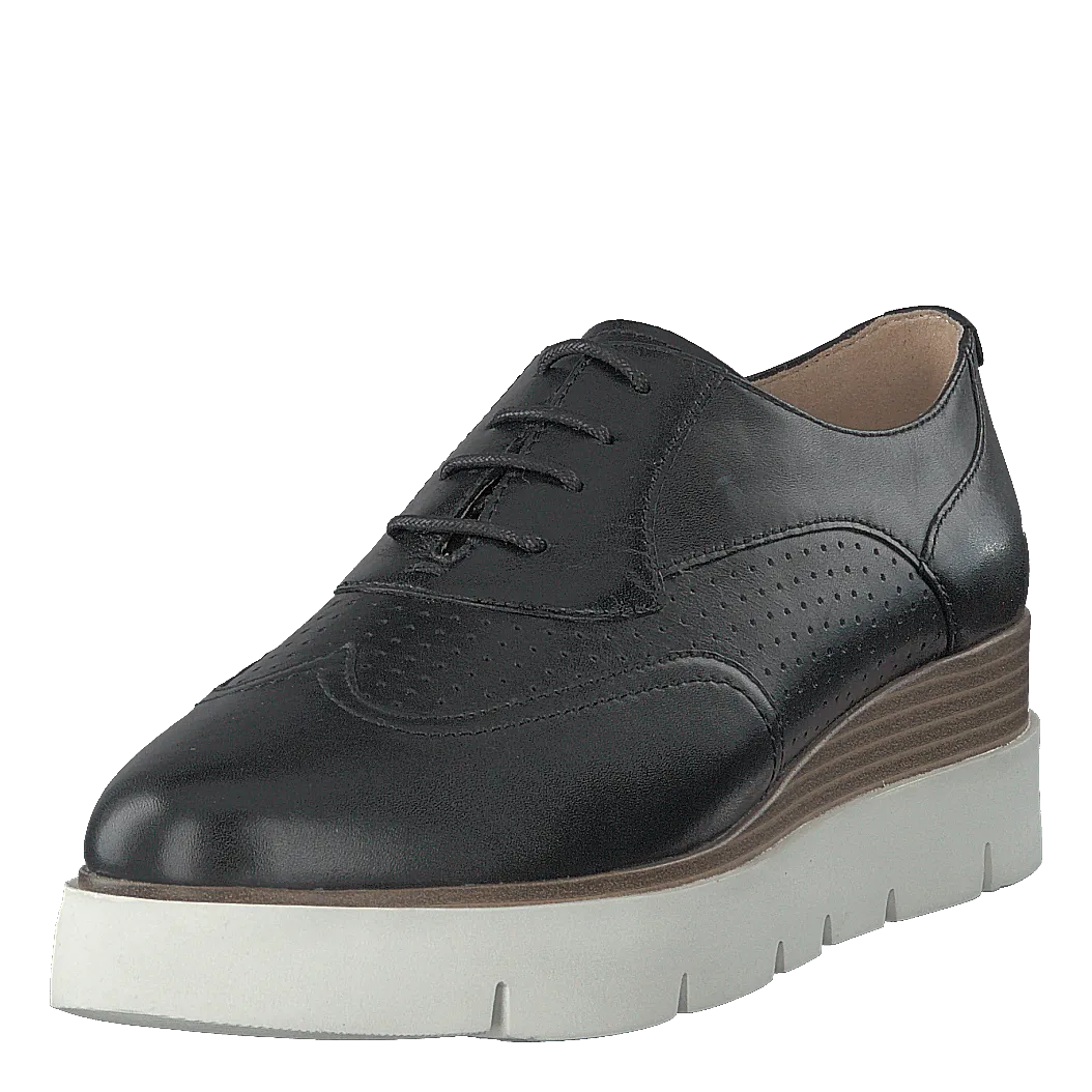 D Kattilou Black